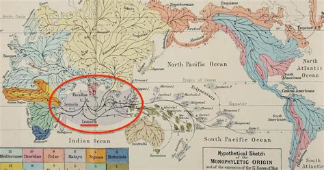 the land of lemuria payout|The Frenzy About the Weirdest Continent That Never Existed .